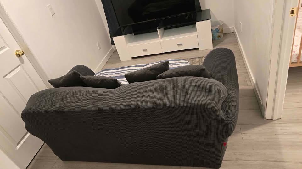 Free Loveseat - photo 3