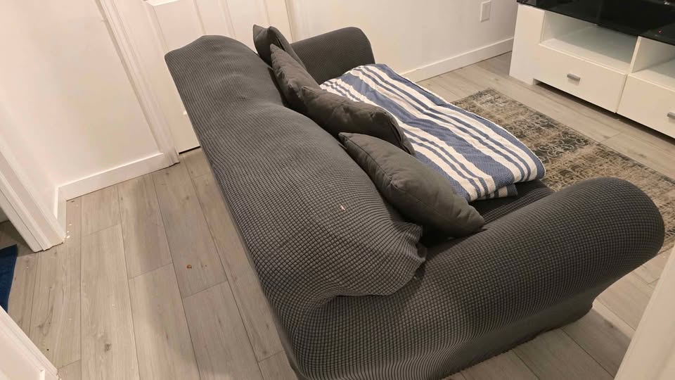 Free Loveseat - photo 4