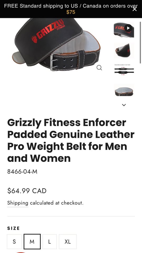 Grizzly Fitness Leather Weightlifting Belt – Size M (New) - photo 3