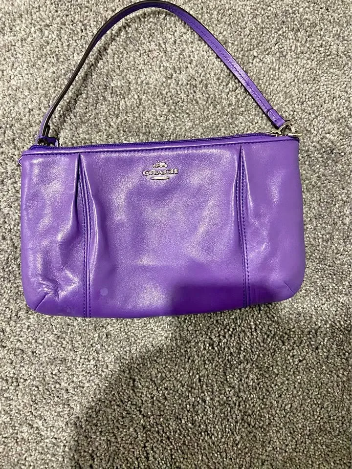 Small Co*ch clutch purse