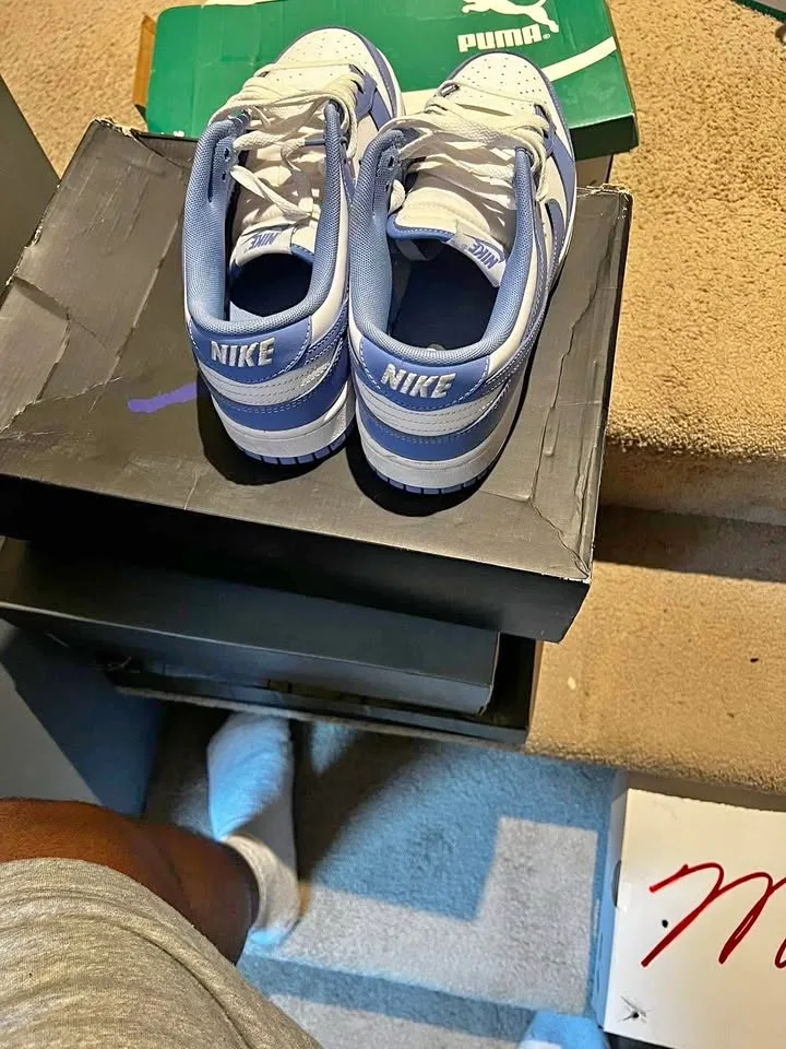 Polar blue nike dunks