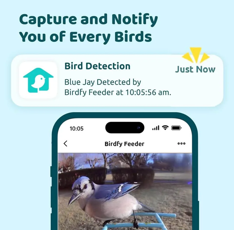 New Birdfy Solar Smart Bird Feeder with Camera image indicator(2)