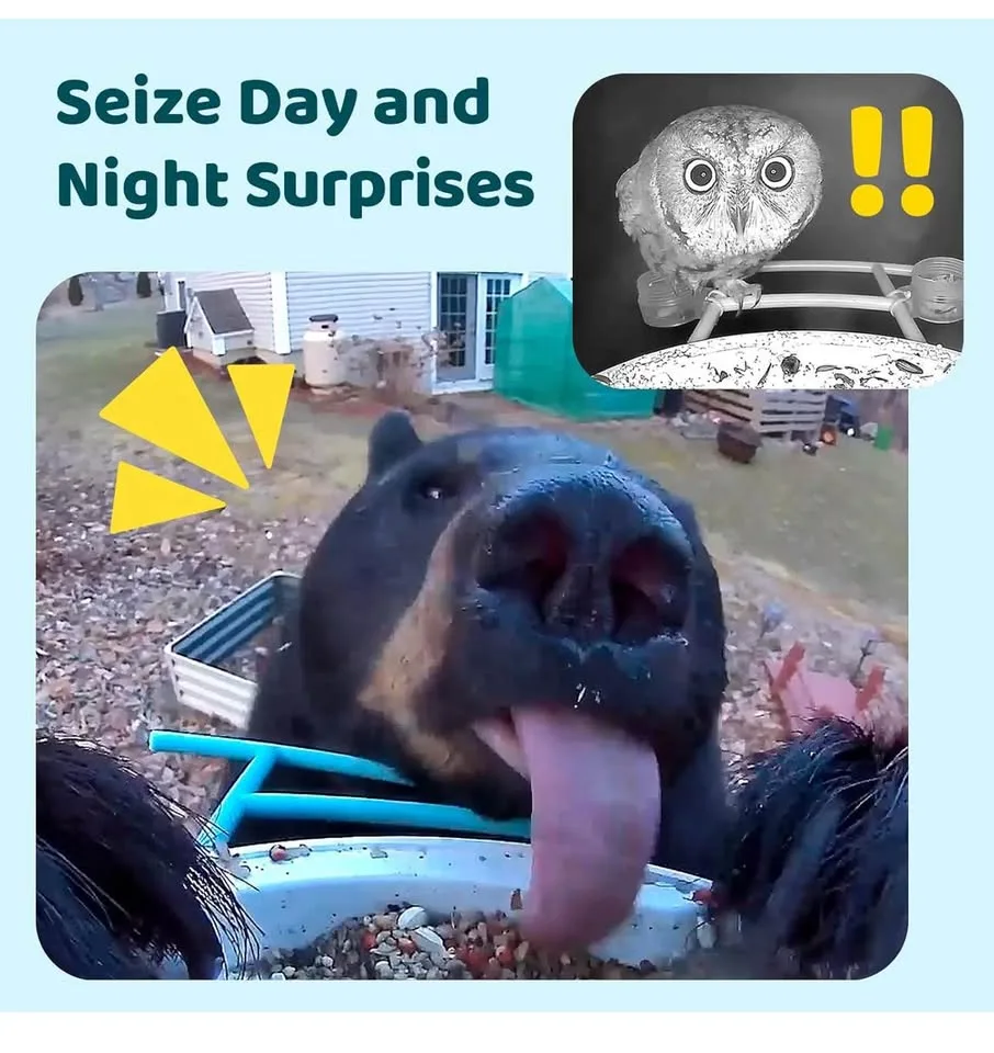 New Birdfy Solar Smart Bird Feeder with Camera image indicator(4)