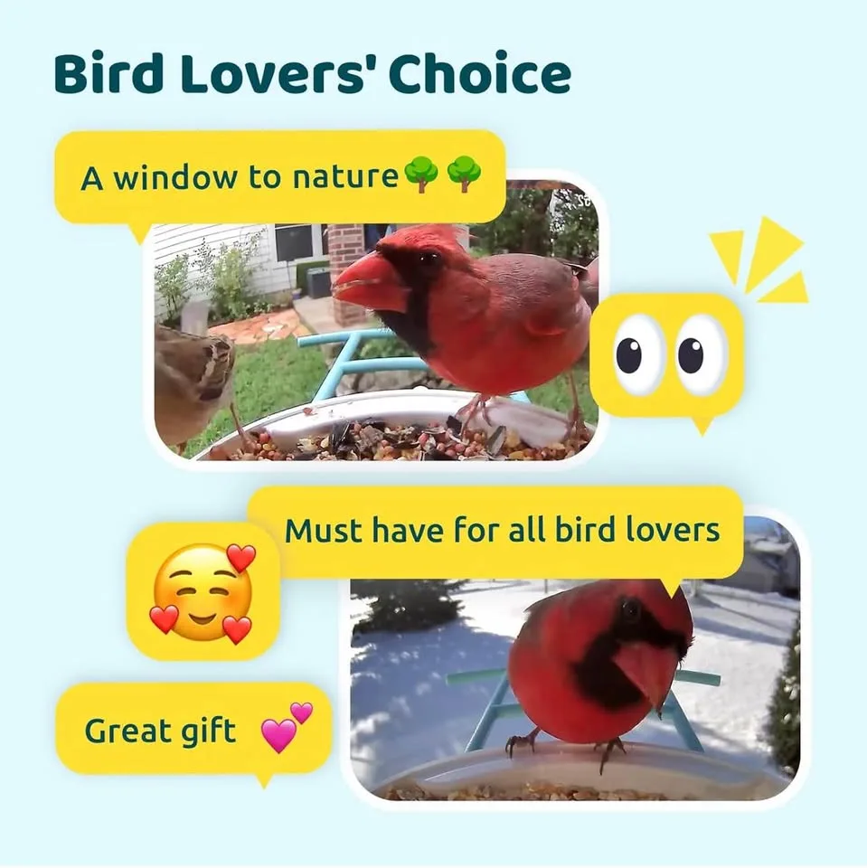 New Birdfy Solar Smart Bird Feeder with Camera image indicator(6)