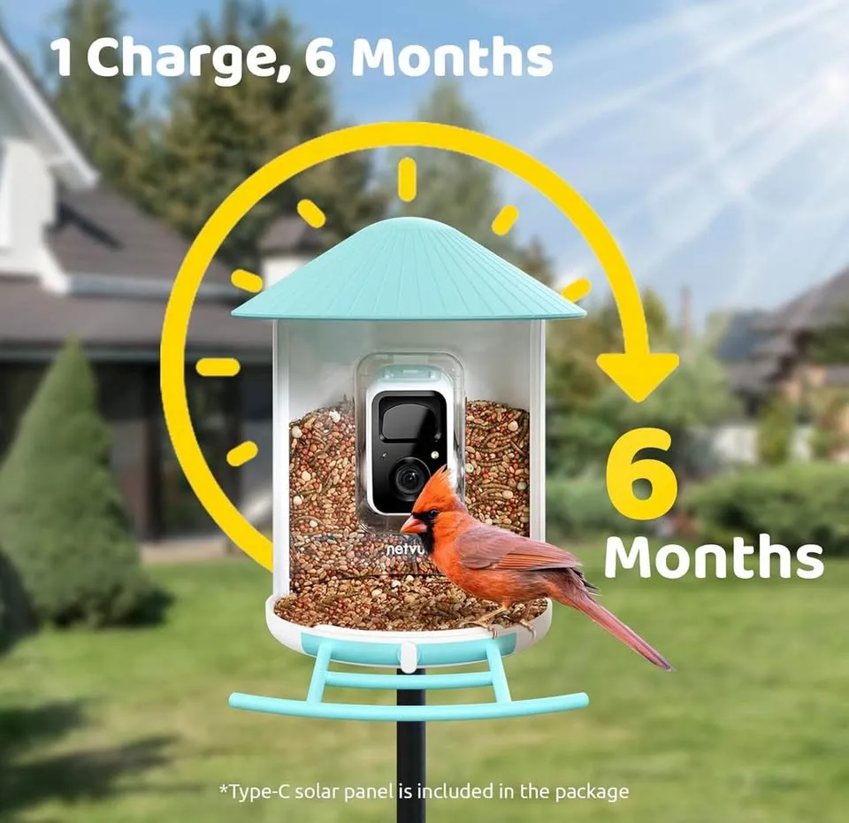 New Birdfy Solar Smart Bird Feeder with Camera image indicator(7)
