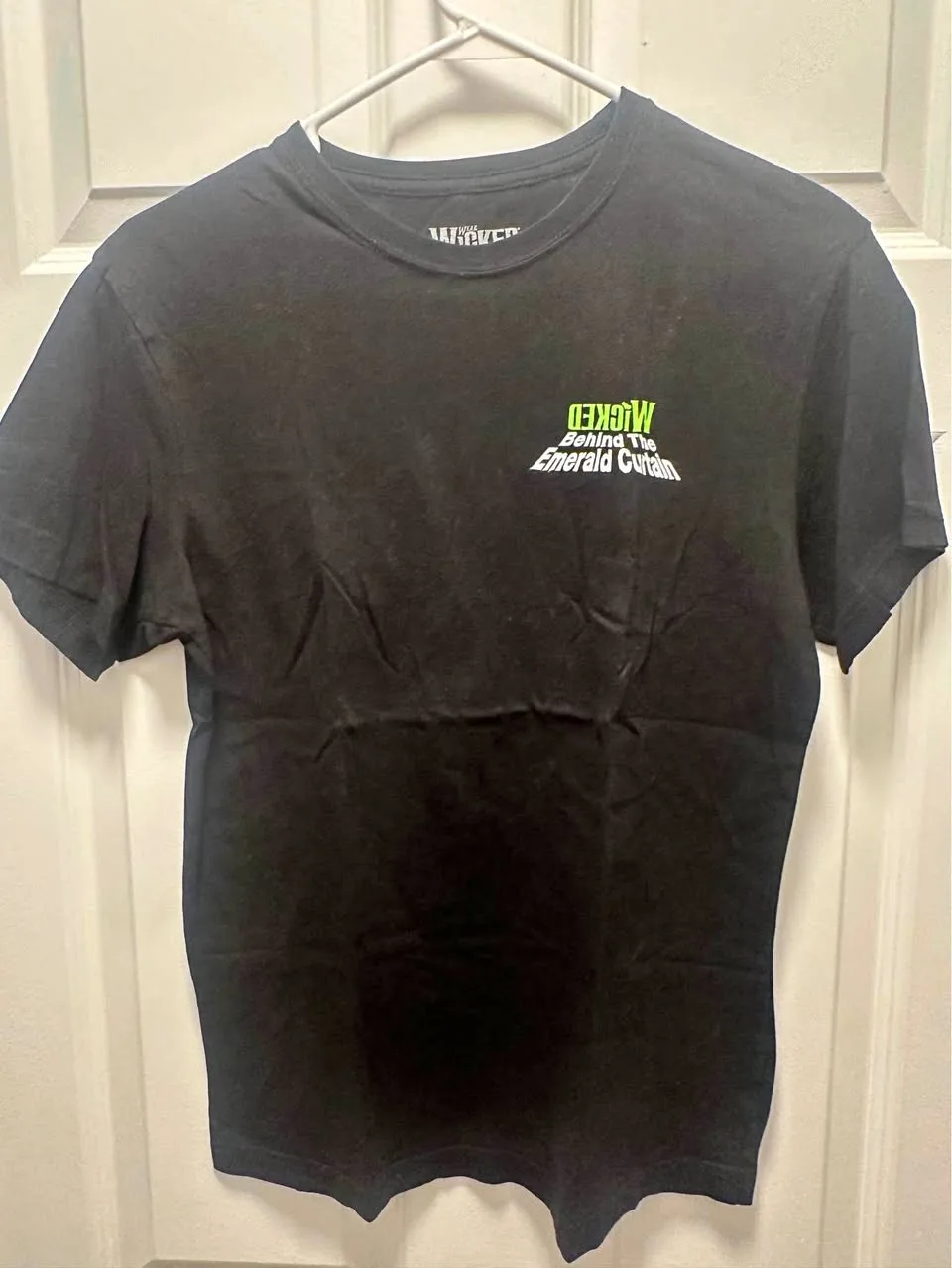 WICKED Behind the curtain tshirt thumbnail