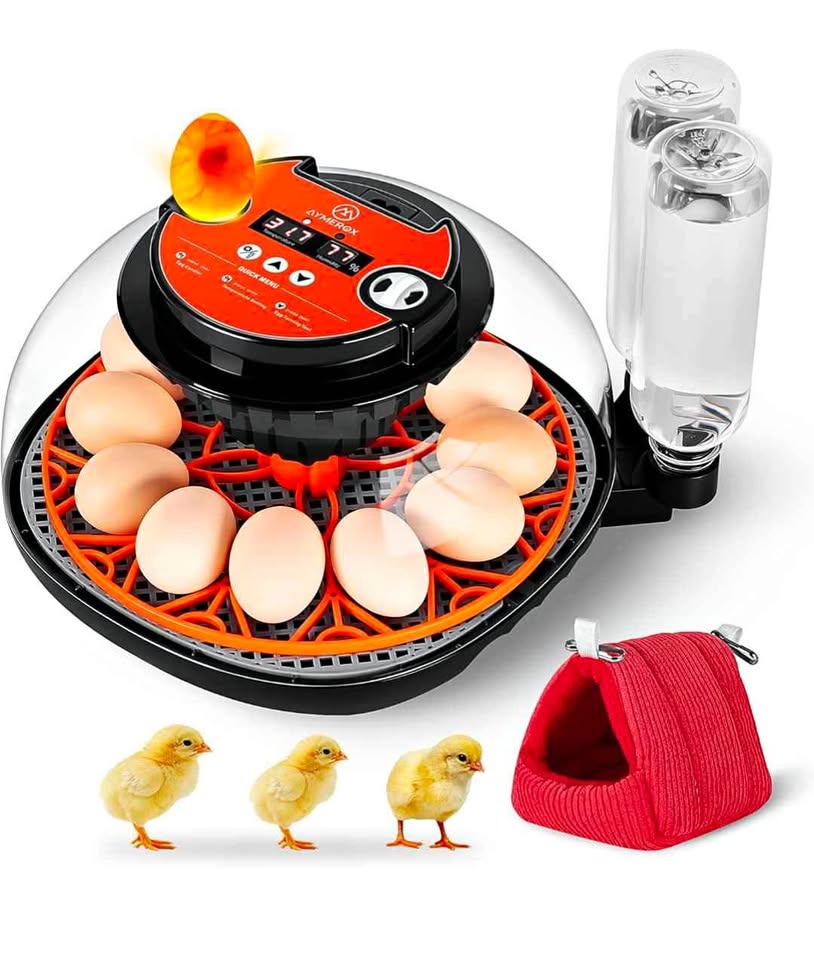 12 Egg Incubator Kit - New