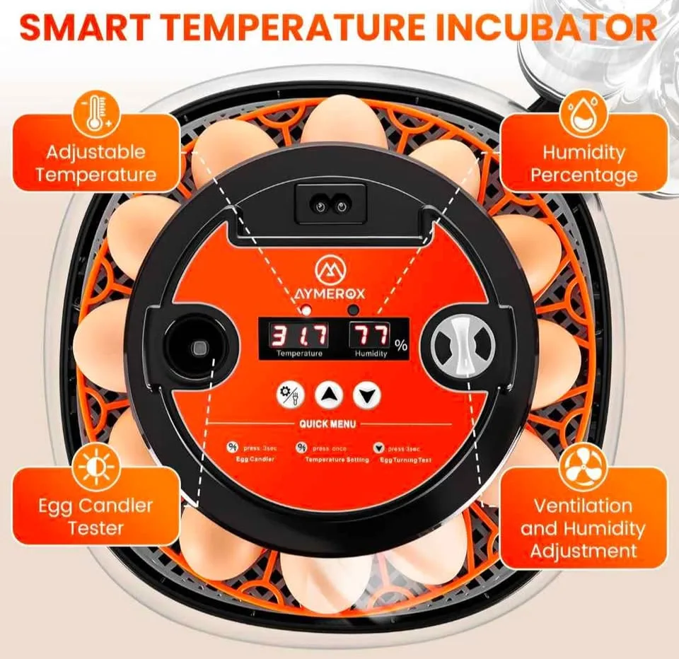 12 Egg Incubator Kit - New image indicator(2)