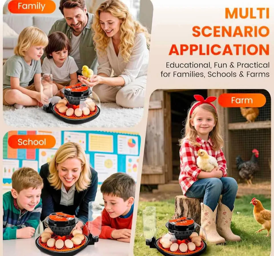 12 Egg Incubator Kit - New image indicator(3)