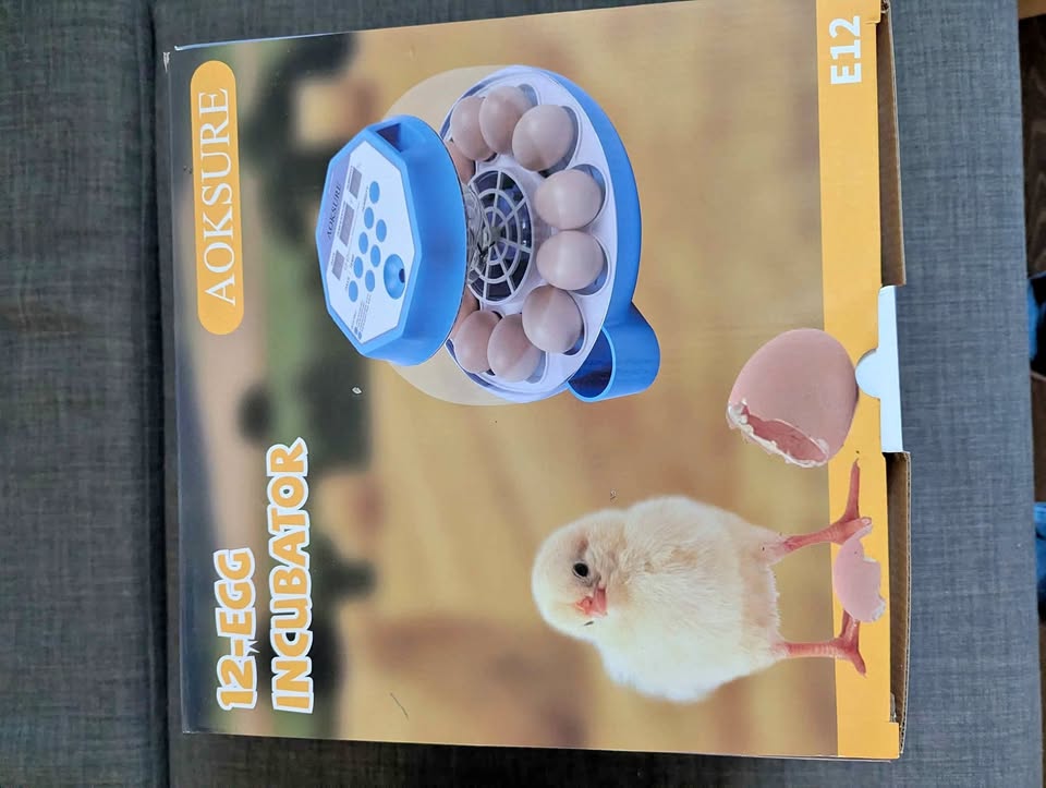12 Egg Incubator Kit - New