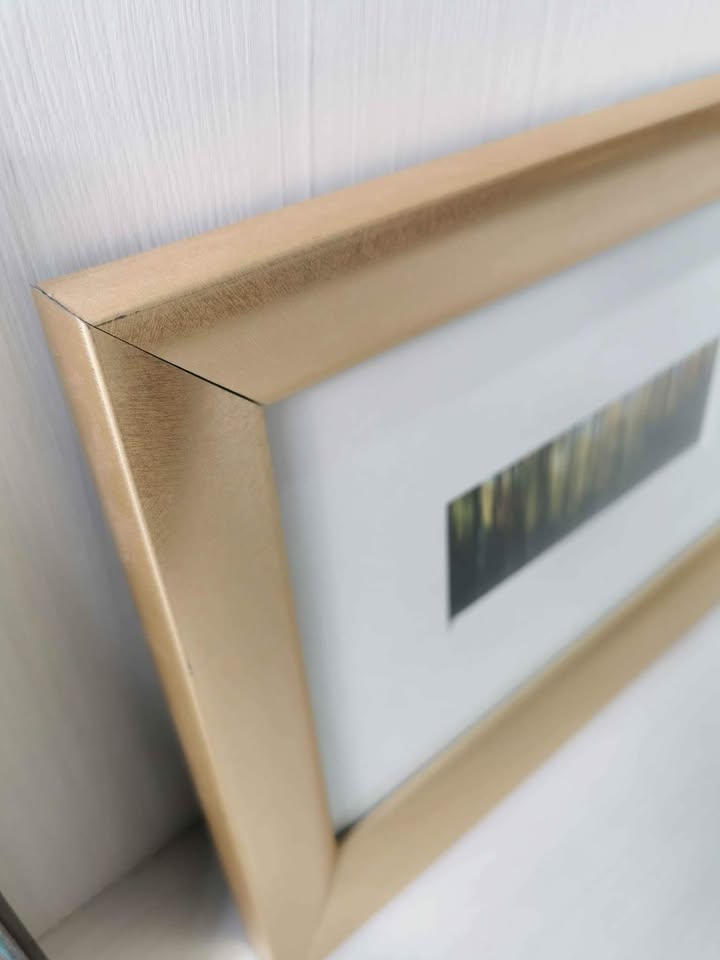 Decorative Prints with Frames - photo 4