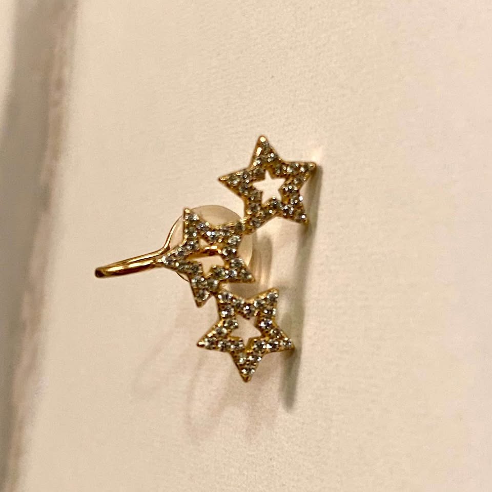 Clip on Earrings - photo 2