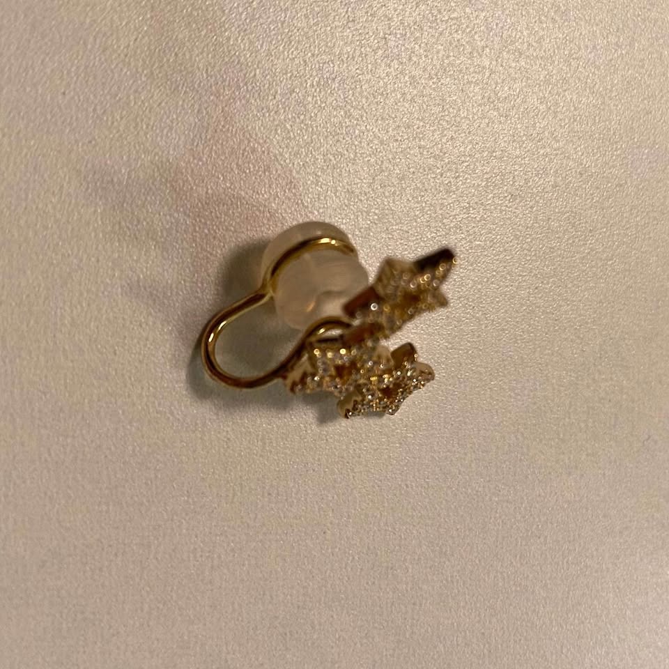 Clip on Earrings - photo 3