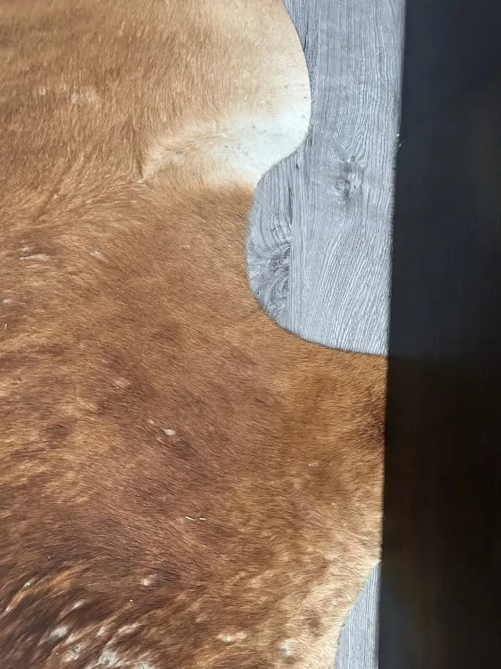 🤎 Genuine Brazilian Cowhide Rug 🤎 image indicator(3)