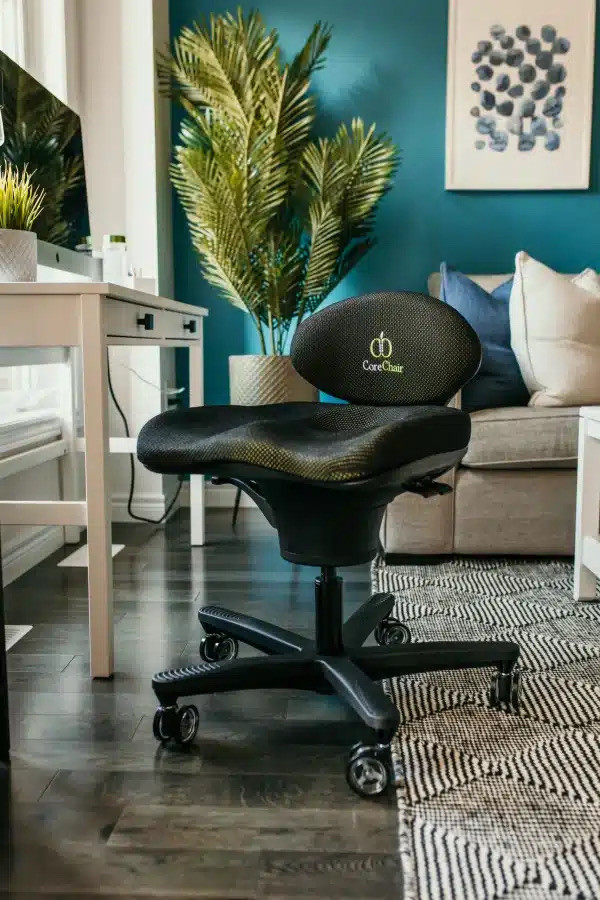 CoreChair Classic - Speckled Black - Excellent - $300