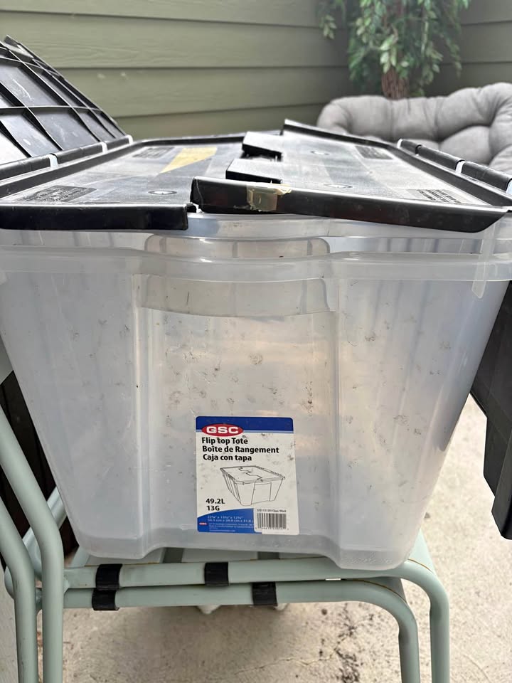 2 flip top plastic tubs