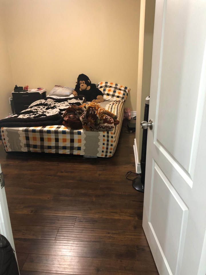 2 Beds 1 Bath - House - photo 3