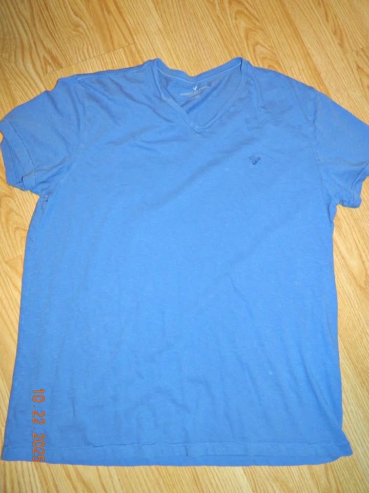 MENS AMERICAN EAGLE VNECK TSHIRT size XL...EUC