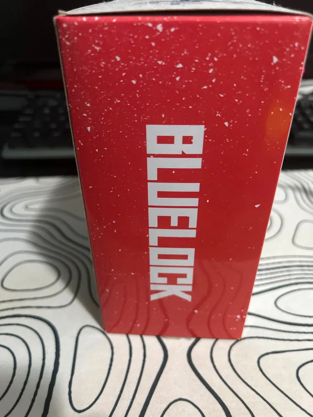 Blue lock statue image indicator(5)