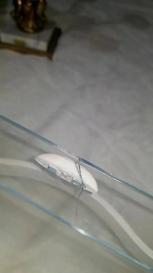 Makeup organizer image indicator(2)