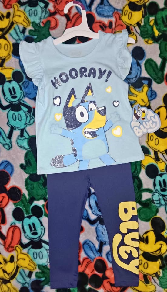 Girl's Bluey Size 3T Set $5
