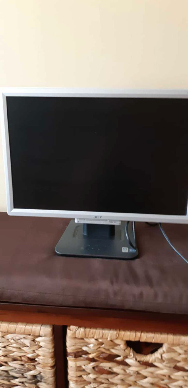 Acer Computer monitor AL1916W