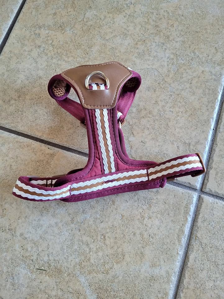 Small dog harness brand now