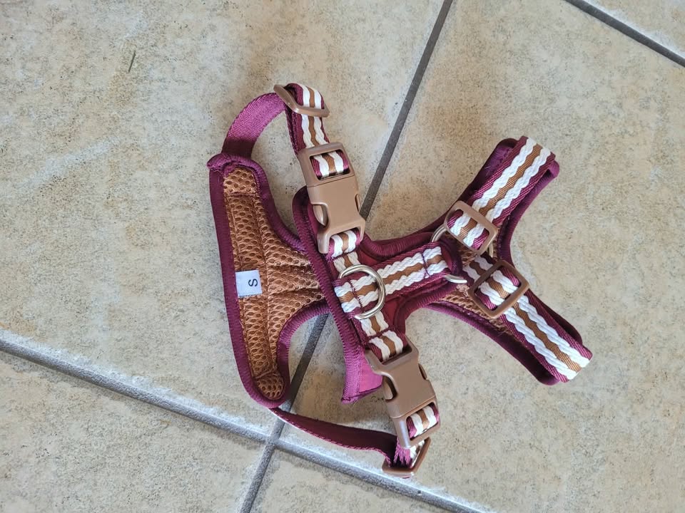 Small dog harness brand now - photo 2
