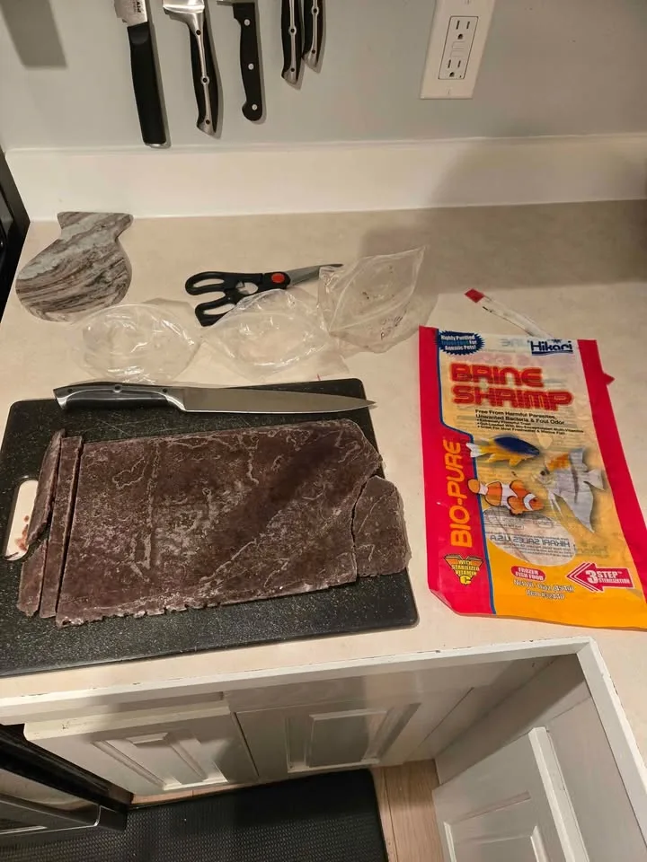 Complete thriving fishtank setup 55gal image indicator(4)