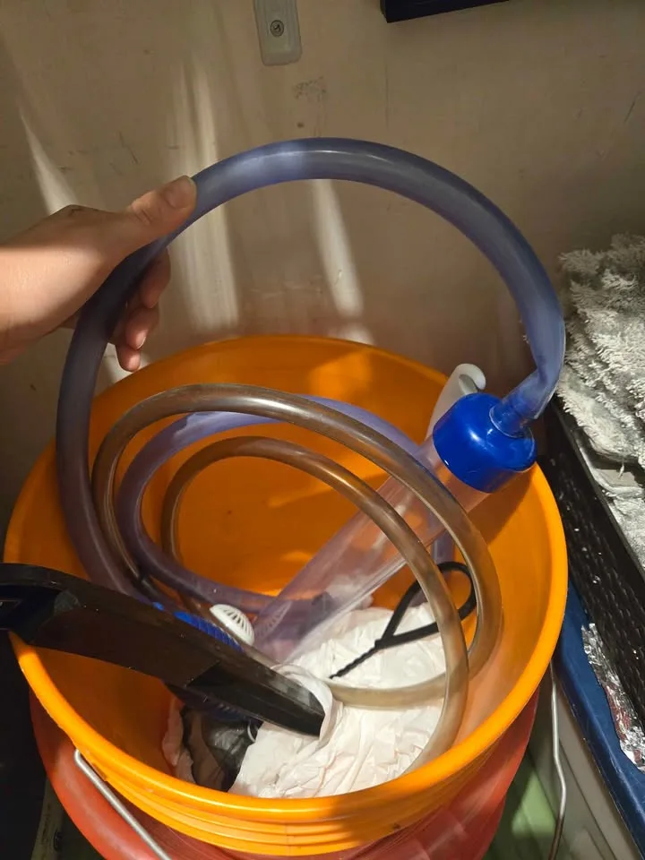 Complete thriving fishtank setup 55gal image indicator(5)