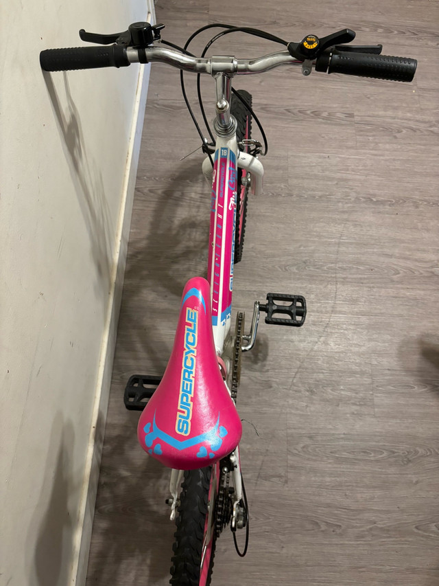 Supercycle Fly Girl 18 inch Bike - photo 3