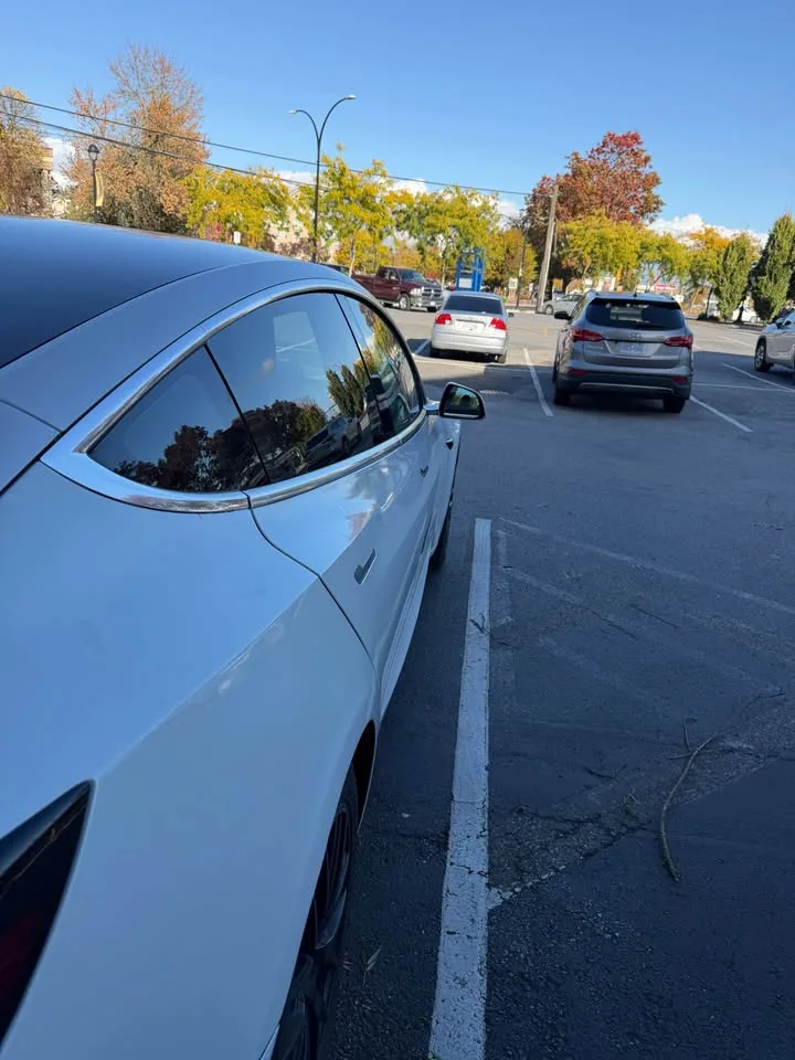 2020 Tesla Model 3 image indicator(2)