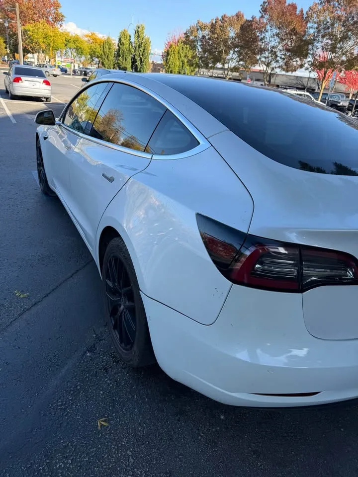 2020 Tesla Model 3 image indicator(3)