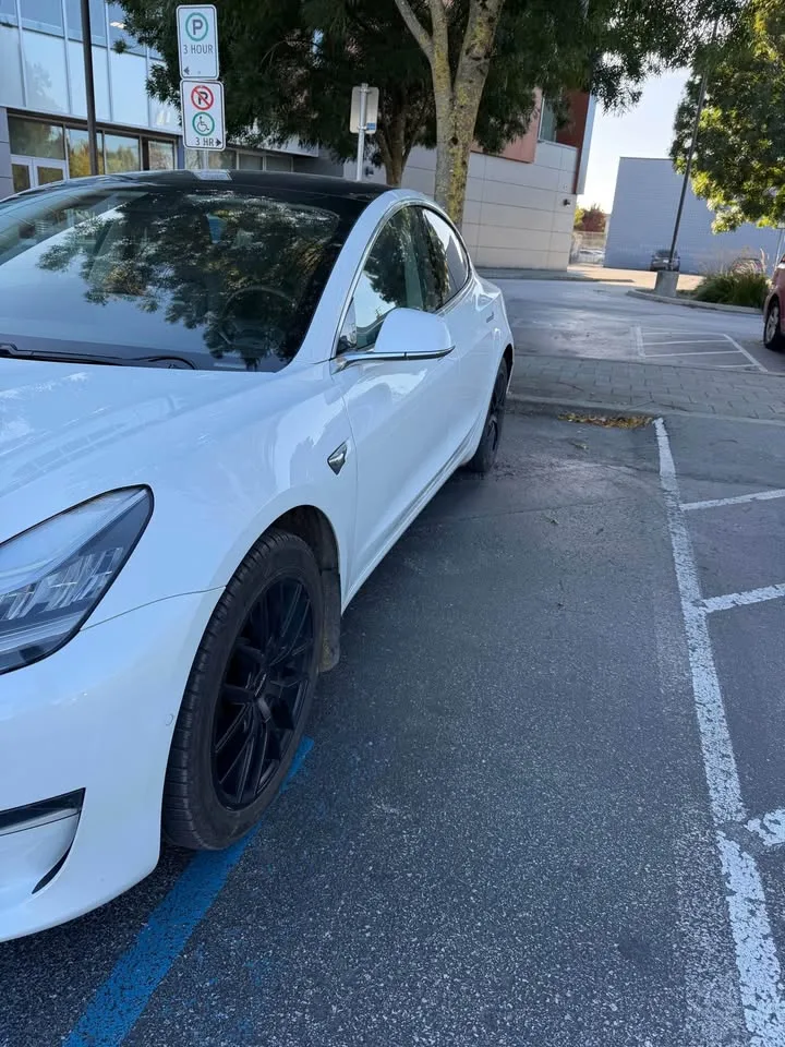 2020 Tesla Model 3 image indicator(4)
