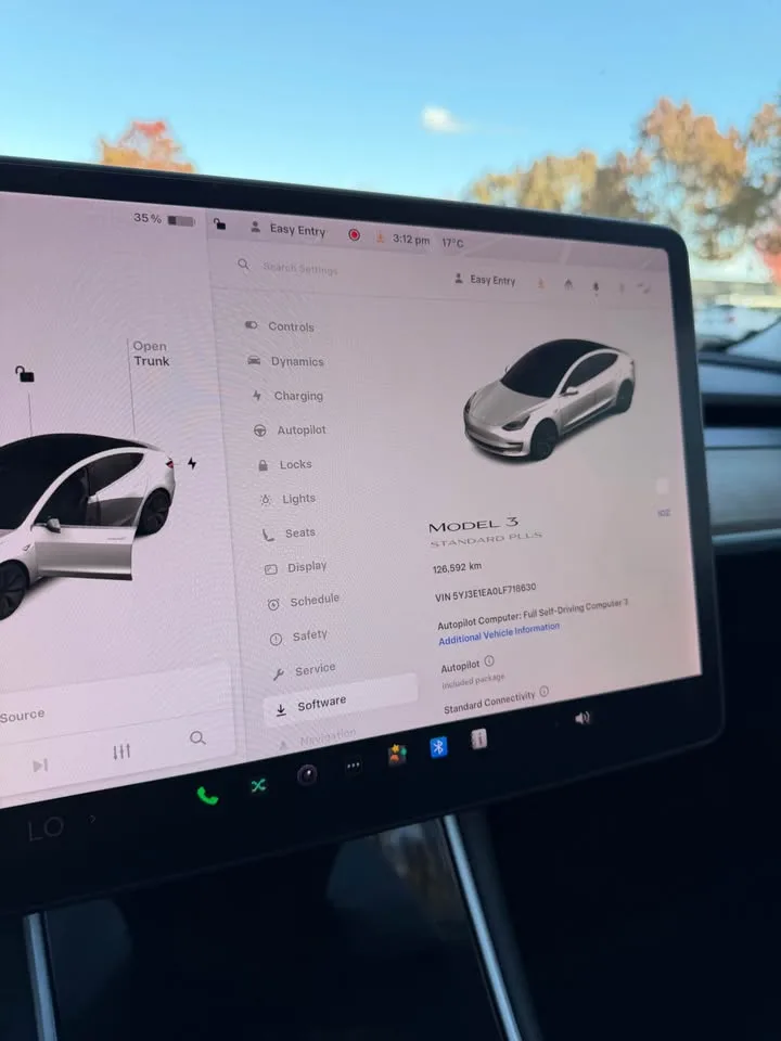 2020 Tesla Model 3 image indicator(7)