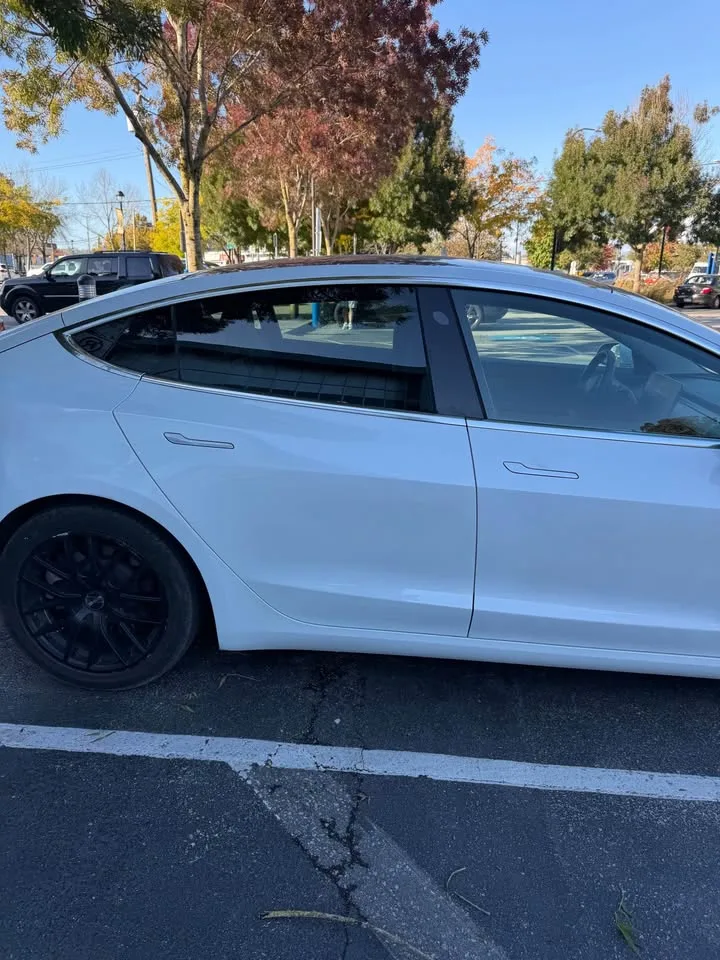 2020 Tesla Model 3 image indicator(9)