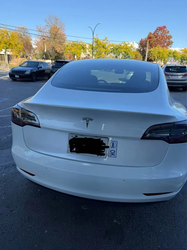 2020 Tesla Model 3 image indicator(10)
