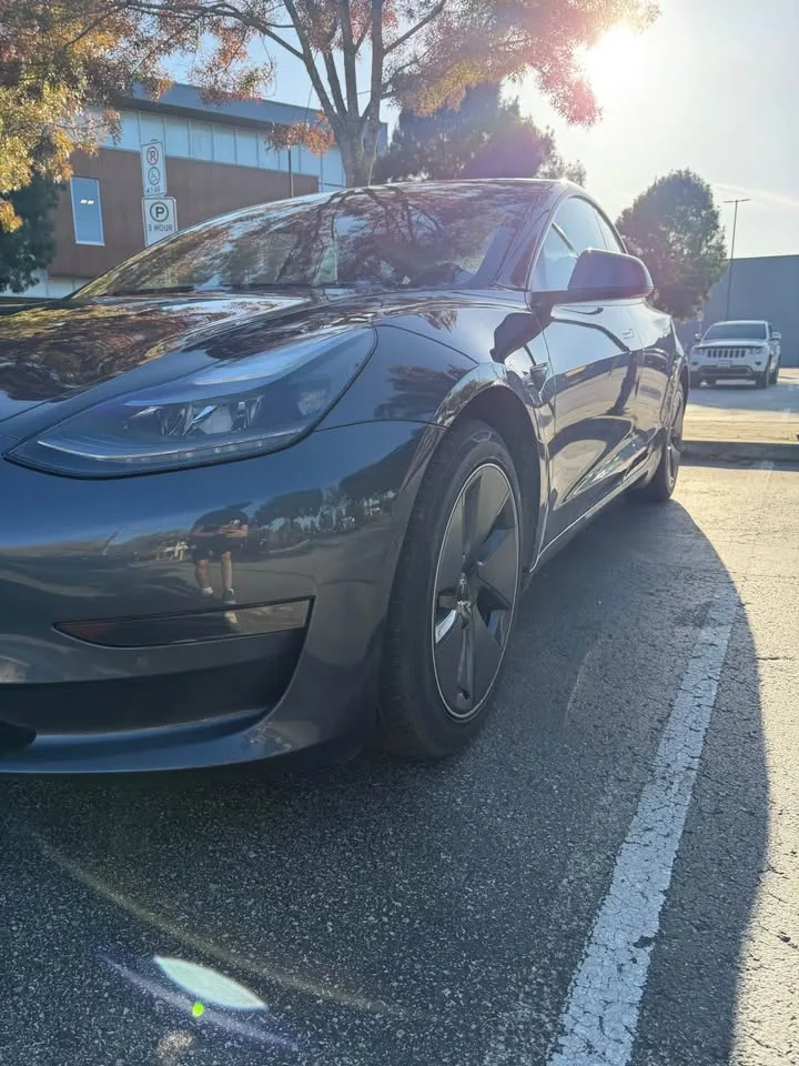 2021 Tesla Model 3 image indicator(2)