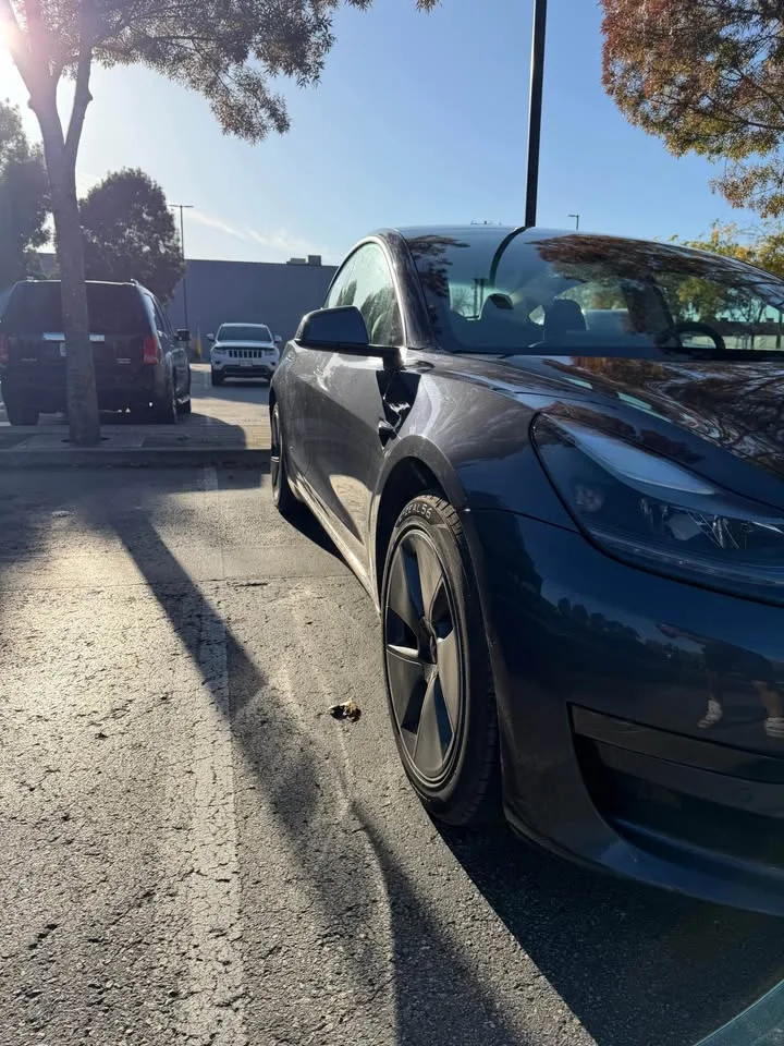 2021 Tesla Model 3 image indicator(3)