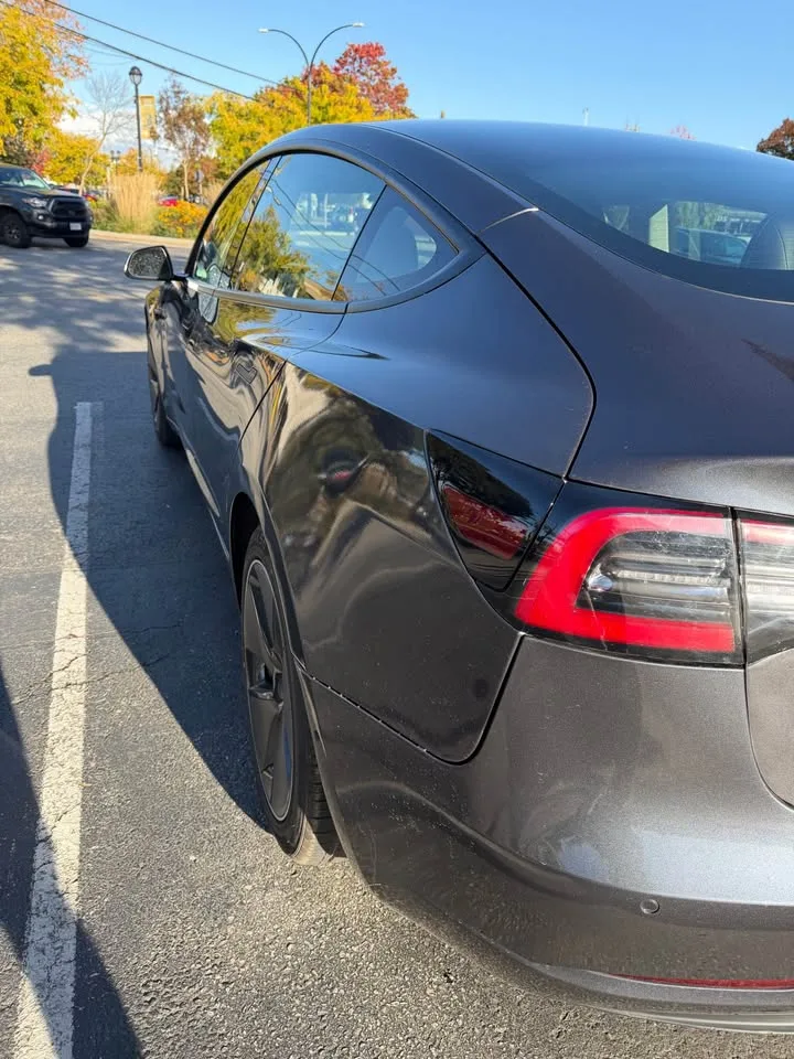 2021 Tesla Model 3 image indicator(5)