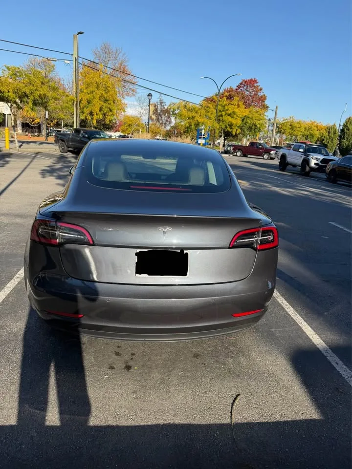 2021 Tesla Model 3 image indicator(6)