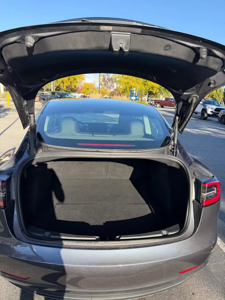 2021 Tesla Model 3 image indicator(7)