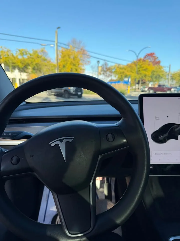 2021 Tesla Model 3 image indicator(9)