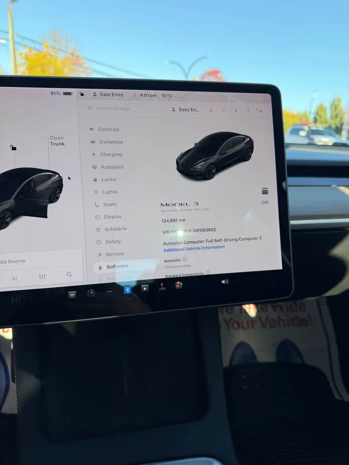 2021 Tesla Model 3 image indicator(10)