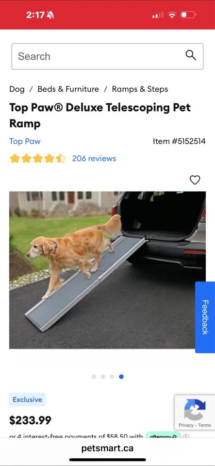 Dog ramp for car - photo 2