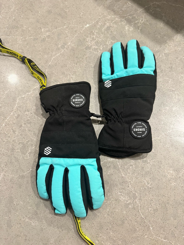 Ski/Snowboarding Gloves