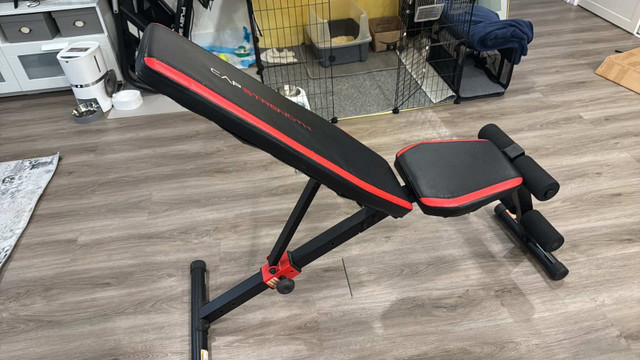 Workout Bench - photo 3