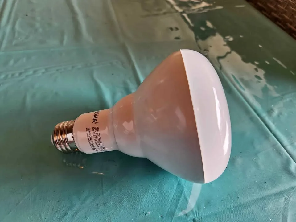 Light bulbs 65 watts in door Soft white 4 pcs