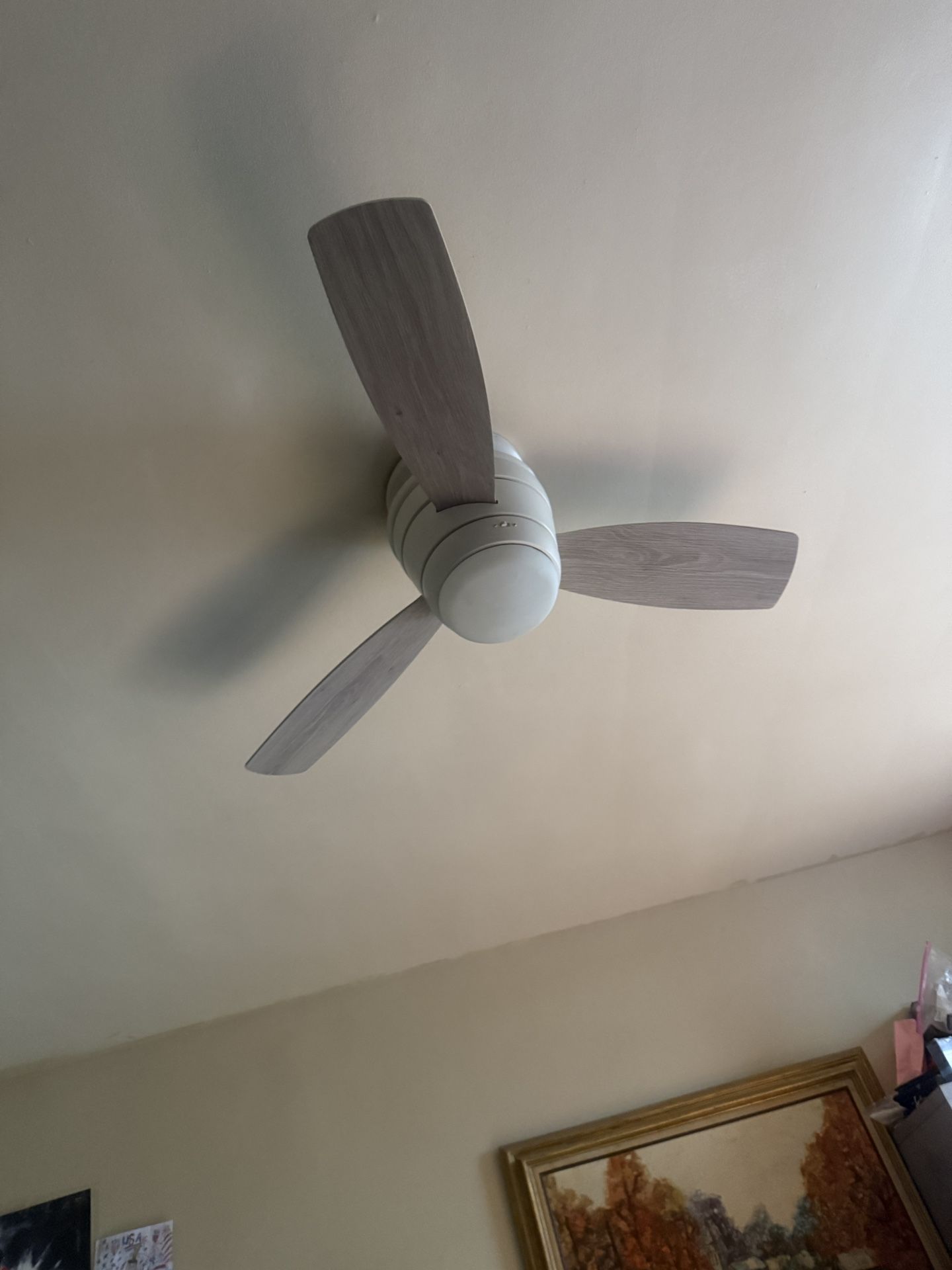 Ceiling Fan With LED Lights And Remote Control