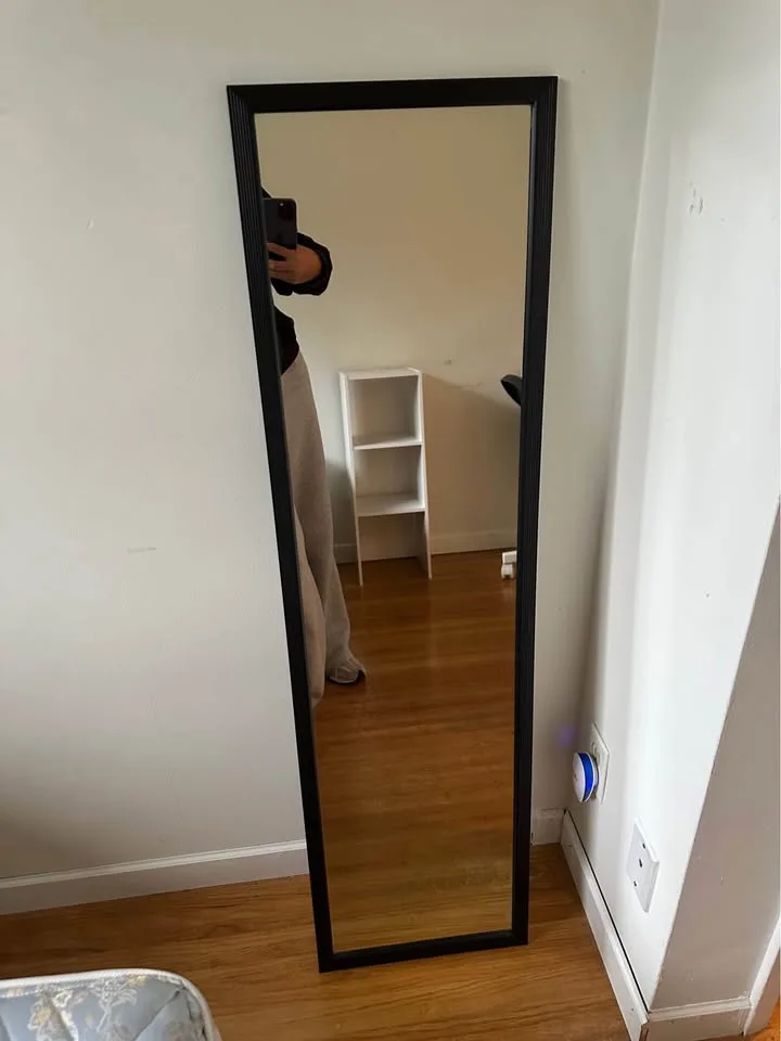 One Slim mirror image indicator(2)